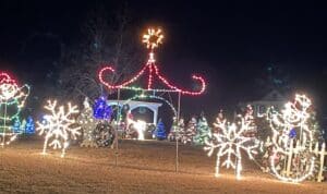 lighted figures for christmas in a park