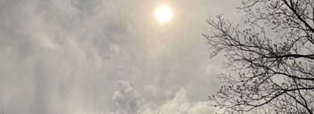 cloudy sky with sun and tree